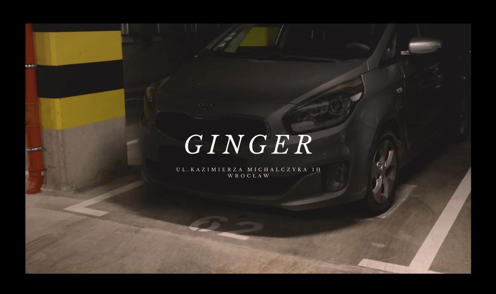 Apartament Ginger - Stare Miasto - Bezplatny Parking - Youtube Apartament Ginger We Wroclawiu Exteriör bild